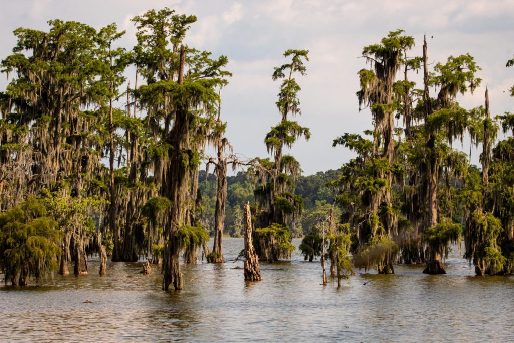 Louisiana Hazardous Waste